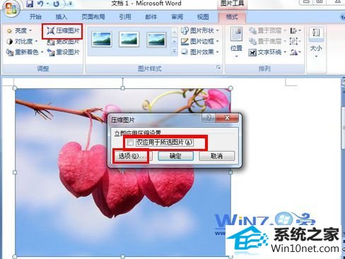 将“仅应用于所选图片”前面的勾去掉 winxp系统word文档中图片不显示的图文步骤