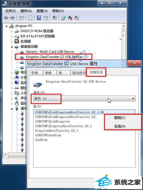 豸