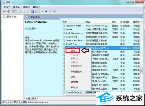 xpϵͳsoftware protectionҲĽ