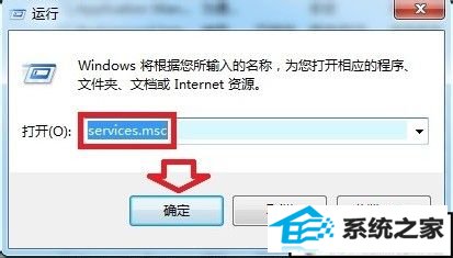 xpϵͳsoftware protectionҲĽ