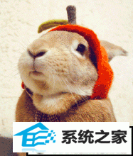 xpϵͳƬ鿴޷鿴GiFͼƬĽ