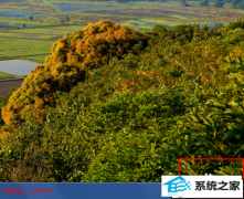 xp系统右下角不显示时间的图文方案