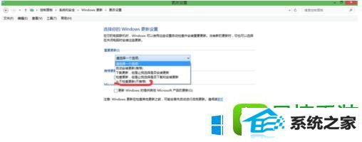 win8ϵͳºûӦĽ