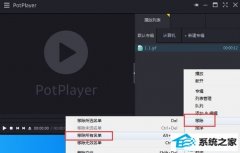 win10ϵͳpotplayerôղб